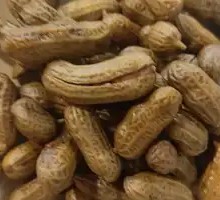 Boiled Peanuts