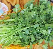 Cilantro