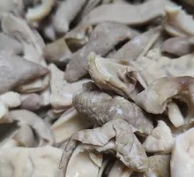 Tripe Strips
