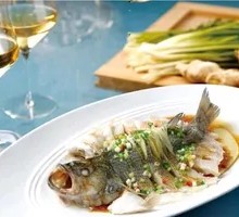 Three-color Sea Bass