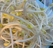 Bean sprouts