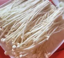 Enoki Mushroom