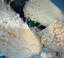 Premium Enoki Mushroom