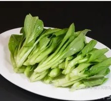Bamboo Shoot Bok Choy