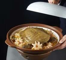 Golden Soup Turtle with Golden Mushroom