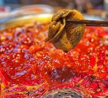 Fresh Beef Tripe from the Slaughterhouse