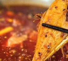Hanging Pot Premium Catfish