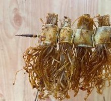Fried Enoki Mushrooms