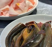 Eel