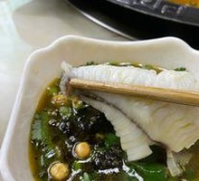 Tilapia
