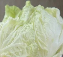 Napa cabbage