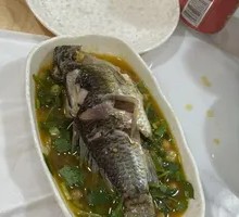 Crucian Carp
