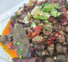 Spicy Water Snail