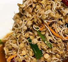 Cold-Mixed Broad Bean Sprouts