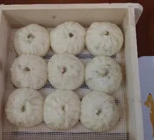 Fresh Meat Bun with Pure Milk