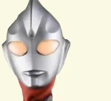 Roast Duck in a Little Coat